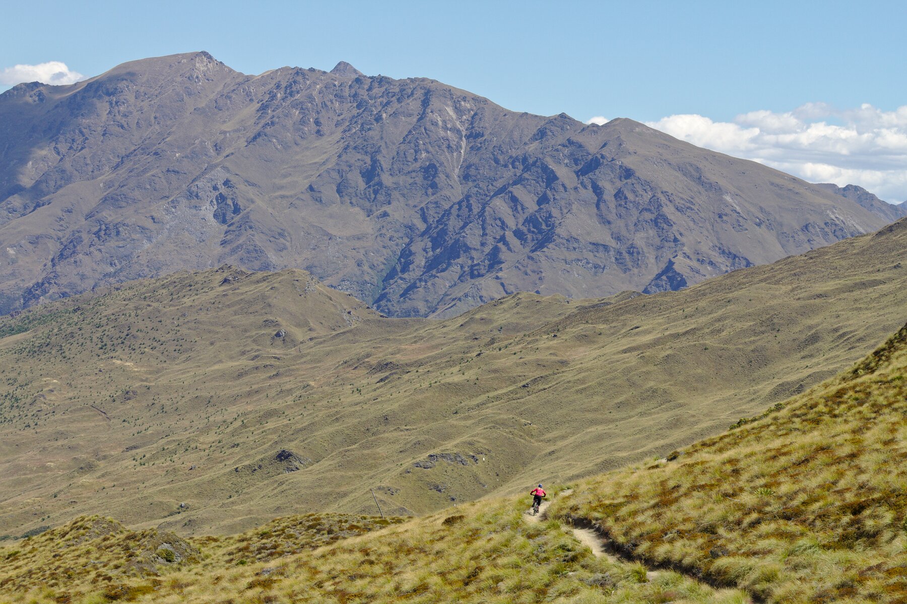 Mountain trail through forest landscape
